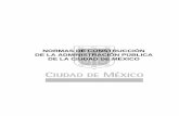 NORMAS DE CONSTRUCCIÓN DE LA ADMINISTRACIÓN PÚBLICA DE LA … · Construcción de la Administración Pública de la Ciudad de México, están en constante revisión y por lo tanto