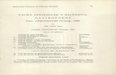 INSTITUCIÓN CATALANA DE HISTORIA NATURAL · INSTITUCIÓN CATALANA DE HISTORIA NATURAL 85 FAUNA PENINSULAR Y BALEARICA GASTROPODOS Fam. CERITHIIDAE Fleming, 1828 por JOSé GINER MARI