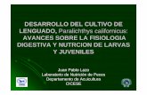 DESARROLLO DEL CULTIVO DE LENGUADO, Paralichthys …oneproceso.webcindario.com/Cultivo_lenguado2.pdf · 2011-02-25 · DESARROLLO DEL CULTIVO DE LENGUADO, Paralichthys californicus