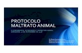 PROTOCOLO MALTRATO ANIMALcolvet.es/files/8_Alfredo_Fernandez_Protocolo_maltrato...PROTOCOLO MALTRATO ANIMAL II CONFERENCIA: VETERINARIA Y BIENESTAR ANIMAL ZARAGOZA, 17 DE NOVIEMBRE