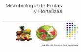 Microbiología de Frutas y Hortalizas · 2011-11-26 · EJEMPLOS DE BROTES EN FRUTAS Y HORTALIZAS EN LOS E.U C. botulinum Ensalada de col E. coli O157:H7 Lechuga, germinados, melón