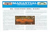 MANANTIALpiedrasguadiana.es/archivos/publicaciones/Boletin06.pdf · 2016-08-30 · los problemassufridos enlas plantacionesdealbaricoqties existentes en la zona,conel virus de la
