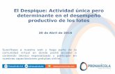 El Despique: Actividad única pero determinante en el desempeño productivo de …pronavicola.com/contenido/webinar/despiquelotes.pdf · 2016-05-02 · El Despique: Actividad única