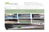 Mantenimiento y Decoración Jardines Catálogo de proyectos...Instalación de sistemas de riego Jardín comunitario de 600 m2 Instalación sistema de riego por goteo con tubería ciega