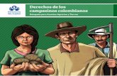 Derechos de los campesinos colombianos · 2018-09-22 · 3 Derechos de los campesinos colombianos 2 ¿Qué son los derechos de los campesinos? Son las garantías que debe brindar
