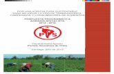 POR UNA AGRICULTURA SUSTENTABLE PARA MEJORAR LA VIDA DE TRABAJADORES, CAMPESINOS Y ... · 2018-02-05 · enormes diferencias entre una agricultura moderna, orientada hacia los mercados
