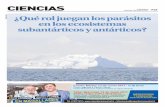 CIENCIAS - La Prensa Austral · cies de Notothenidos obtenidos desde la Antártica, en las campa-ñas del año 2015 y 2016 del Proyecto Inach RT- 22-14. Monogeneo Pseudoneobenedenia