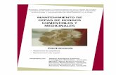 PROTOCOLOS - cenicafe.orgbiblioteca.cenicafe.org/bitstream/10778/849/1... · Contaminación microbia-na en los procesos de crecimiento micelial MANTENIMIENTO DE CEPAS DE HONGOS COMESTIBLES