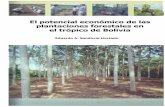 El potencial económico de las plantaciones forestales en el … · 2019-06-17 · plantagedriften til industriel skala. Der er mangel pá viden om plantagedrift i regionen som bliver