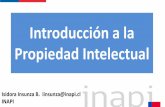 Introducción a la Propiedad Intelectual³n-a-la-PI-INAPI.pdf · franjas diagonal entre las figuras cuadradas y en las intersecciones de estas se ubican figuras cuadradas menores