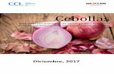 Cebollas · 2018-04-04 · los que tiene mayor riqueza en principios activos medicinales. Originaria de Persia, ha sido a lo largo de la historia una de las plantas comestibles más