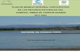 PLAN DE MANEJO INTEGRAL PARTICIPATIVO DE LOS RECUROS ... · plan de manejo integral participativo de los recuros naturales del humedal embalse cerron grande 2017-2022 informe de consultorÍa