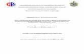 UNIVERSIDAD NACIONAL AUTONOMA DE NICARAGUA CENTRO DE INVESTIGACIONES Y ESTUDIOS DE …repositorio.unan.edu.ni/7104/8/t611.pdf · 2017-11-13 · universidad nacional autonoma de nicaragua