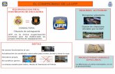EL COMPROMISO DE LA UFP compromiso de la UFP elecciones... · CON MOZOS DE ESCUADRA CONSULTORA: Cláusula de salvaguarda UFP es la única organización sindical que ha elaborado su