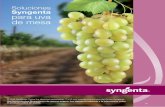 Soluciones Syngenta para uva de mesa · y Soluciones Syngenta para uva de mesa ® 2019 Syngenta. Todos los derechos reservados. ™ y ® son marcas comerciales del Grupo Syngenta.