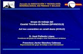 Grupo de trabajo del Comité Técnico de Balsas (SPANCOLD) Ad … · 2017-07-14 · • Pedro Abad Santos • Jose Jose Luis Cuenca Lorenzo • Mario García a Girones • Francisco
