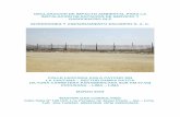 DECLARACION DE IMPACTO AMBIENTAL PARA LA INSTALACION … · Comunal Chutana - Sector Pampa Patita (Altura Carretera Panamericana Sur Km 57.00), distrito Pucusana, provincia y departamento