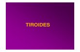 TIROIDES - UNLP · Fotomicrografia de las glándulas tiroides y paratiroides (X132). Obsérvense la glándula tiroides en la porción superior y la glándula paratiroides en la parte