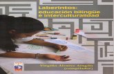 Laberintos · 2017-08-15 · LABERINTOS: EDUCACIÓN BILINGÜE E INTERCULTURALIDAD 7 E l seminario taller Tendencias y perspectivas de la educación bilingüe en Guatemala contituyó