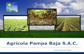 Agrícola Pampa Baja S.A.C. · Proyecto Olmos Proyecto Olmos: Chiclayo 1,370 hectáreas, Olmos- Chiclayo. Estudios, permisos, licencias, tramites desde 2012, ya concluido Desarrollo