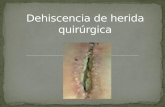 Dehiscencia de herida quirúrgicaseparación de las capas de una herida quirúrgica. Las capas de ... descontinúa la cicatriz tanto en la superficie como en la cicatriz uterina) y