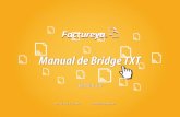 Manual de Bridge TXT - factureya.com · Fiscales, en caso de no cumplir con ellos el Sistema presentará inconvenientes ... caracteres de más entre palabra y palabra), de otra forma