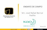 ENSAYES DE CAMPO M.I. José Rafael Bernal Padilla · 2019-05-21 · Ensaye a los agregados • 50 grs de material –2.5 grs de asfalto. ... Determinar la pérdida del contenido de