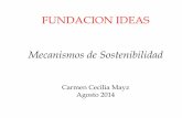 FUNDACION IDEAS Mecanismos de Sostenibilidadwiki.ideas.org.ve/images/e/e7/Mecanismos_de... · 2014-08-25 · • a través del uso de estrategias mixtas, dado que no aplican una única