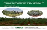 PRÁCTICAS AGRONÓMICAS PARA MEJORAR ELcultivadas a través de una alternancia de cultivos planificada (Forján y Manso, 2014). Por ejemplo una leguminosa en una rotación de cultivos
