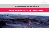 El portal único del gobierno. | gob.mx - Los zoques del volcán · 2019-05-13 · El autor, además de ser un mixe-zoque, es el primer antropólogo mexicano que obtuvo un doctorado