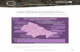 Políticas públicas de género en municipios del Conurbano: CUANDO LO …observatorioconurbano.ungs.edu.ar/wp-content/uploads... · 2019-12-10 · Cuando lo esencial sí es visible