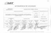 INTENDENCIA DE ADUANAS - Portal SAT · 4. Resolución número R-SAT-IA-001-2007del Intendente de Aduanas de la Superintendencia de Administración Tributaria. Disposición administrativa