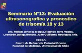 Seminario N 13: Evaluación ultrasonografíca y pronostico ...cerpo.cl/_items/File_002_00592_001.pdf · Trisomia 18: Pronóstico •T18 se asocia a alta mortalidad, 80% fallece in