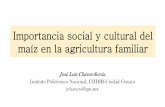 Importancia social y cultural del maíz en la …colpospuebla.mx/profesores/diamaiz/02 Imp Social y...Importancia social y cultural del maíz en la agricultura familiar José Luis