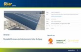 Mercado Mexicano de Calentamiento Solar de Agua · • Almacenamiento de Energía Eléctrica y Redes Inteligentes • Opciones de Flexibilidad: Opciones y Mecanismos Para Contratar