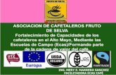 ASOCIACION DE CAFETALEROS FRUTO DE SELVA … · -Diseñar la estrategia para la aplicación de la metodología de Escuelas de Campo de Agricultores (ECAs), previa identificación