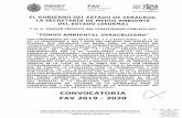 repositorio.veracruz.gob.mxrepositorio.veracruz.gob.mx/medioambiente/wp-content/... · 2019-10-01 · Organizada a través de Asociaciones Civiles que tengan antecedentes de trabajo
