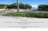 H. Ayuntamiento de Carmen Presenta: Manifestación de ...sinat.semarnat.gob.mx/dgiraDocs/documentos/camp/estudios/2007/04CA2007HD042.pdf140 . Índice Cárcamo de Bombeo D11 ... noreste