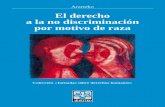 El derecho a la no discriminación por motivo de raza derecho a... · 2015-08-13 · ANDINA . Ararteko . Esta jornada de los Cursos de Verano de la Universidad del País Vasco-Euskal
