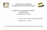 Prof. Laura Carmona Salazar Semestre: 13-IIdepa.fquim.unam.mx/amyd/archivero/Funcion_Cardiovascular_23664.pdf · FACULTAD DE QUÍMICA DEPARTAMENTO DE BIOQUÍMICA CURSO DE BIOQUÍMICA