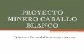 PROYECTO MINERO CABALLO BLANCO - UNAMdepa.fquim.unam.mx/amyd/archivero/... · 2017-10-13 · • "Caballo Blanco" es un proyecto de la minera canadiense Goldgroup • Tipo de mina