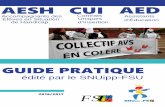 guide AESH CUI 2015 coul - SNUipp.fr61.snuipp.fr/IMG/pdf/guide_AESH_CUI_2016_coul.pdf · 2017-01-13 · AED, plus précaires, avec un temps de travail plus important et directement