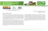 Reporte Epidemiológico Cochinilla rosada del hibiscolangif.uaslp.mx/documentos/privada/BoletinesVarios/cochinilla/002.pdf · duración del ciclo biológico de la cochinilla. En promedio