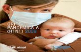 Organización Panamericana de la Salud GRIPEnew.paho.org/hq/dmdocuments/2010/h1n1_spanishlr.pdf · 2010-05-26 · a gripe pandémica A (H1N1) 2009, es una enfermedad respi-ratoria