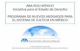 ABA ROLI MÉXICO Iniciativa para el Estado de Derecho PROGRAMA DE … · 2015-04-15 · Armas de fuego de uso exclusivo del Ejército, Armada y Fuerza Aérea Deber de demostrar para