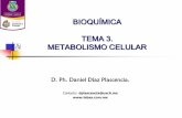 BIOQUÍMICA TEMA 3. METABOLISMO CELULAR · 2015-06-03 · •El metabolismo se podría definir como el conjunto de reacciones catalizadas mediante enzimas que tienen lugar en un organismo
