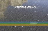 Venezuelaservicios.iesa.edu.ve/portal/CIEA/EC_2008_2009.pdfcrudo extrapesado de la Faja del Orinoco de Venezuela según lo reportado en el Informe de Gestión Anual de PDVSA de 2009.