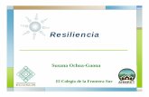 Resiliencia · el concepto de resiliencia ecológica la cual es característica de los ecosistemas para mantenerse después de un disturbio (Adger, 2000) ... Modelo de Resiliencia
