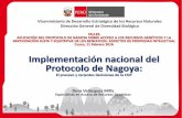 Implementación nacional del Protocolo de Nagoya · Los países megadiversos y comúnmente proveedores de recursos genéticos, como el Perú, podrán hacer valer su legislación nacional