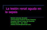 La lesión renal aguda en la sepsis - Aconepe · 2014-09-21 · La lesión renal aguda en la sepsis Nilzete Liberato Bresolin Universidade Federal Santa Catarina Hospital Infantil